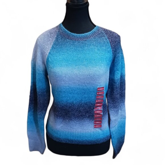 BB Dakota x Steve Madden Blue Stripe  Ombre Crewneck Sweater NWT  Size XS - Picture 4 of 15